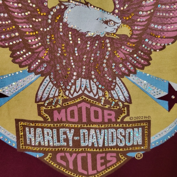 HARLEY-DAVIDSON Burgundy Rhinestone Embellised Tee - Picture 3 of 5
